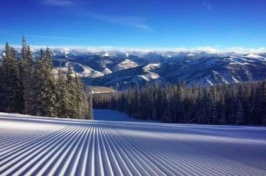 中國原油進口量繼續逐年遞增