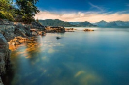 國際能源署(IEA)發布《石油市場報告2018》